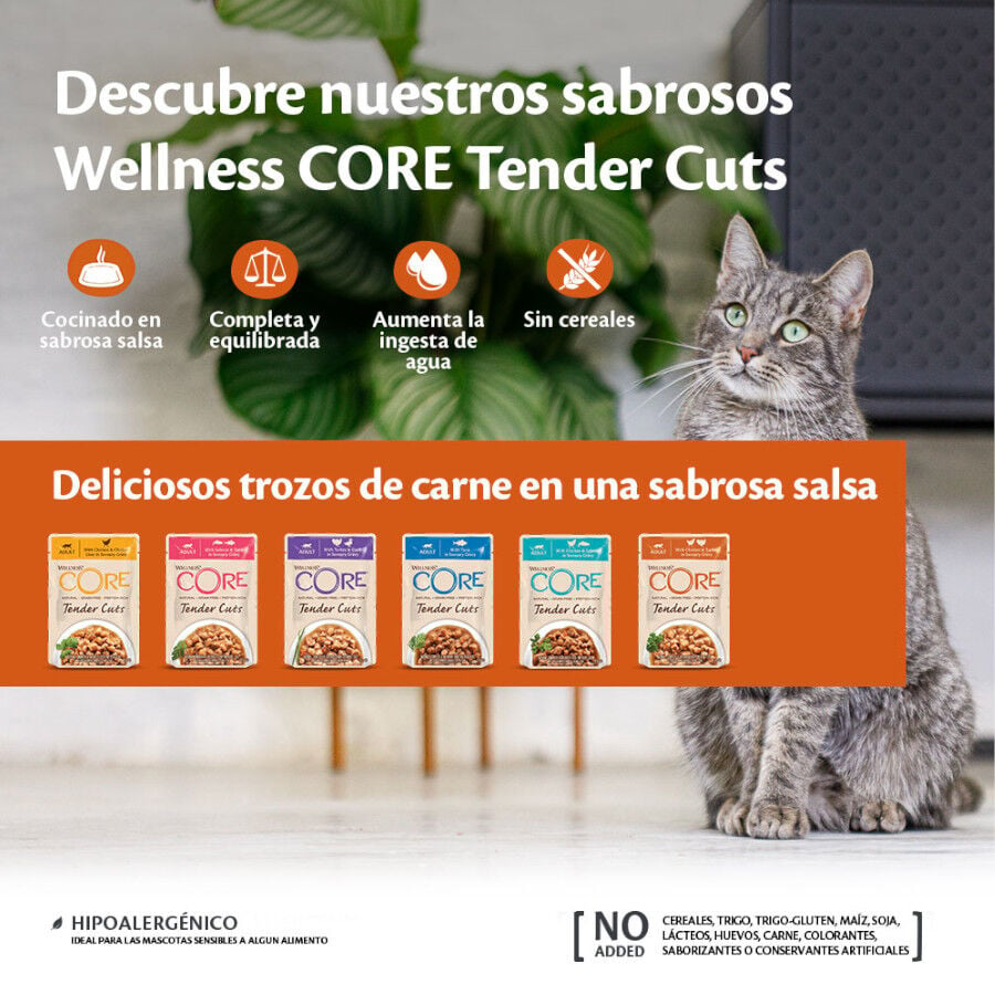 Wellness Core Tender Cuts Pollo y Pato sobre en salsa para gatos, , large image number null